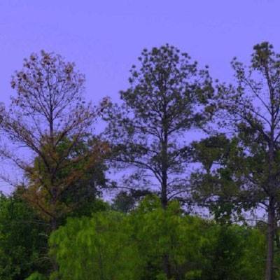 乐发彩票APP下载app下载