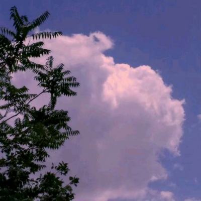 49图库一资料中心手机app下载